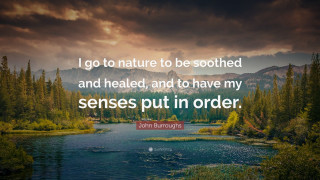 Nature soothed healed cityscape sunset - an illustration free wallpaper