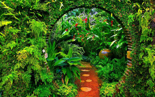 Garden path plants nature scenery - ecological art free wallpaper