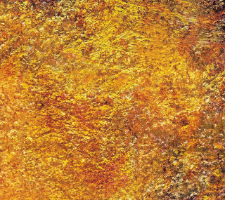 Yellow brown leaves painting black - the edge free wallpaper