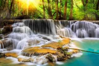 Waterfall river wooden stick nature - a wooden stick free wallpaper