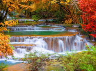 Waterfall forest fall foliage river - a waterfall in a forest free wallpaper
