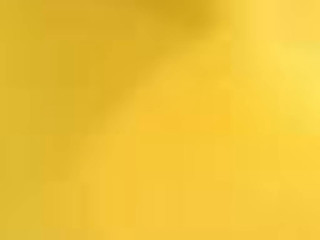 Yellow background cat top cat - the bottom of the picture free wallpaper