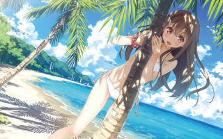 Woman bikini palm tree beach 6 - a woman in a bikini free wallpaper