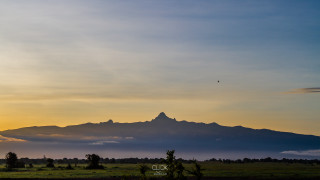 Mountain bird sky sunset dawn - a bird free wallpaper for desktop