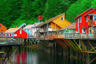 Houses dock water trees forest - the background and a forest in the background free wallpaper