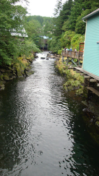 River forest trees people dock - a blue building free wallpaper
