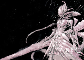 Woman long hair sword in 6 - amano free wallpaper