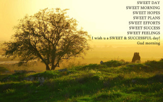 Tree hill sweet morning hopes - farid mansour free wallpaper