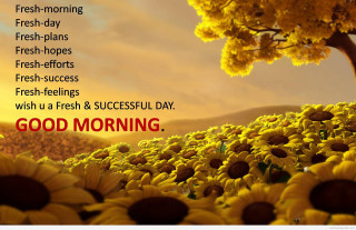 Sunflower field good morning quote - fresh free wallpaper