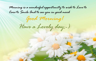 Bouquet daisies good morning green - bright free wallpaper
