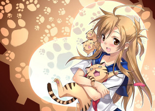 Girl holding cat on shoulder - a cat and a cat free wallpaper