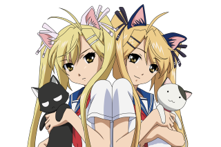 Blonde girls cat anime doll - the other holding free wallpaper