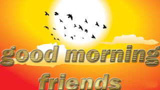 Sunset birds golden morning digital - bird free wallpaper