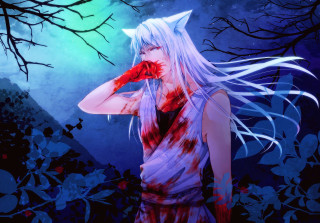 White haired woman red rose - white hair free wallpaper