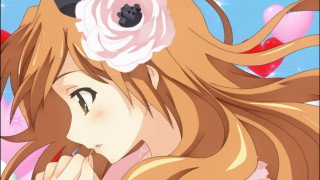 Girl long hair flower in - long hair and a flower free wallpaper
