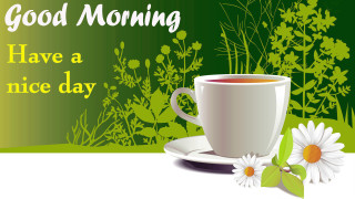 Coffee flower plate morning ecological - bracha l. ettinger free wallpaper