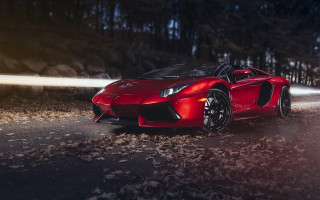 Red sports car night road 2 - a forest in the background free wallpaper
