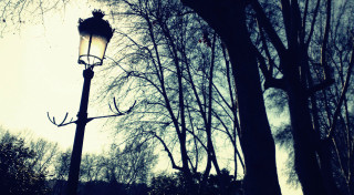 Street light park trees sun - a photo free wallpaper