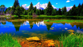 Lake trees mountains blue sky 7 - tree and mountains free wallpaper