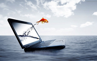 Laptop goldfish screen water sky - a goldfish free wallpaper