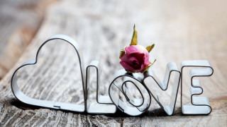 Rose love word center single - a single rose free wallpaper