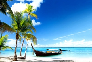 Boat beach palm trees blue 7 - felipe seade free wallpaper for desktop