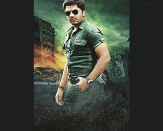 Man green shirt sunglasses building - a sky background and a building in the background free wallpaper