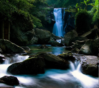 Waterfall forest rocks waterflow trees - free nature wallpaper