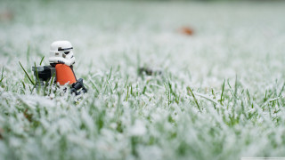 Toy stormtrooper grass frisbee bird - caspar wolf free wallpaper