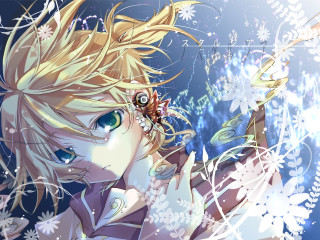 Blonde girl blue eyes holding - blue eyes holding free wallpaper