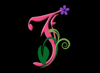 Pink flower green leaves black 4 - a pink flower free wallpaper