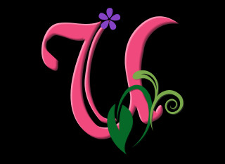 Pink letter flower green leaf 2 - afewerk tekle free wallpaper