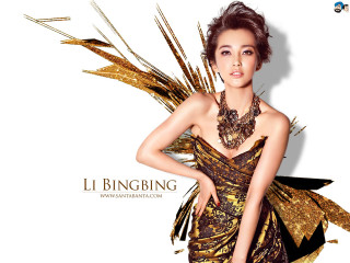 Woman dress gold feathers head - a woman in a dress free wallpaper