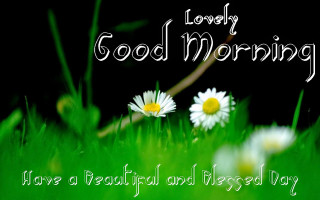 Daisies grass good morning message - folk art free wallpaper