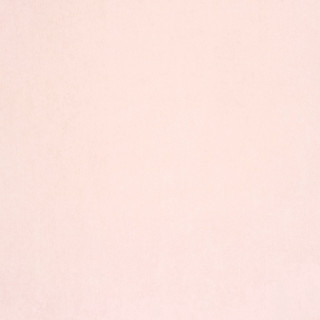 White wall black white cat 4 - a minimalist painting free wallpaper