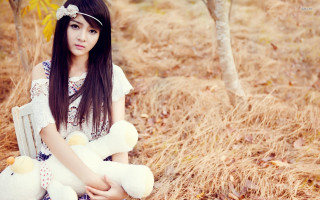 Girl bench teddy bear field - a bench holding free wallpaper
