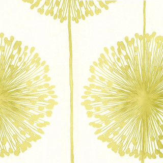 Yellow white wallpaper flower design - a yellow border free wallpaper