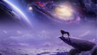 Wolf cliff stars planets sky - a cliff free wallpaper for desktop