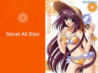Navel stars orange fruit sun - a orange background free wallpaper