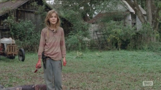 Woman field dog man gun - epic free wallpaper for desktop