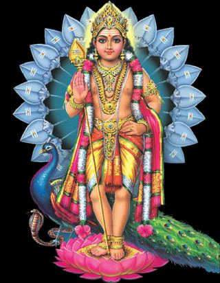 Hindu god peacock lotus flower - an illustration of free wallpaper