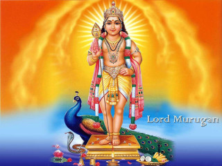 Lord murtihan peacock blue yellow - a statue free wallpaper