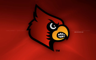 Red black logo yellow bird - a yellow bird free wallpaper