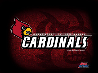 Louisville cardinals logo red bird - a red bird free wallpaper
