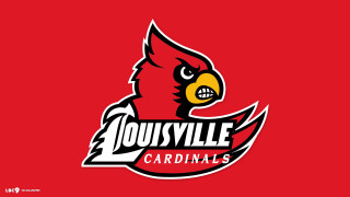 South carolina university logo red - a black bird free wallpaper