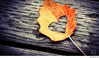 Leaf wooden surface heart shaped - anne dunn free wallpaper