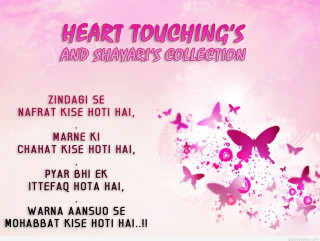 Pink background butterflies words pink - butterfly free wallpaper