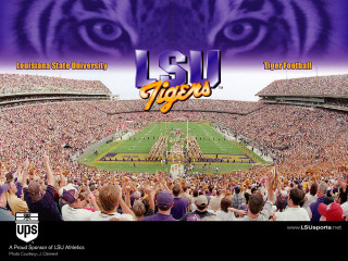 Tiger eye football stadium face - balcomb greene free wallpaper