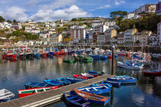 Harbor boats city hillside trees - a hill side free wallpaper