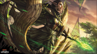 Woman bow arrow forest trees - tree and a sky background free wallpaper